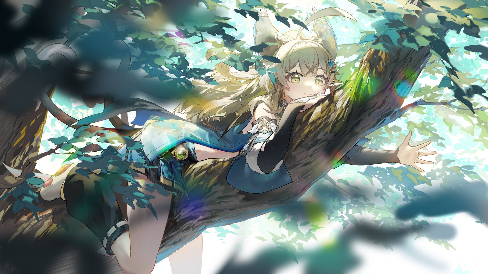 boxmoe_header_banner_img