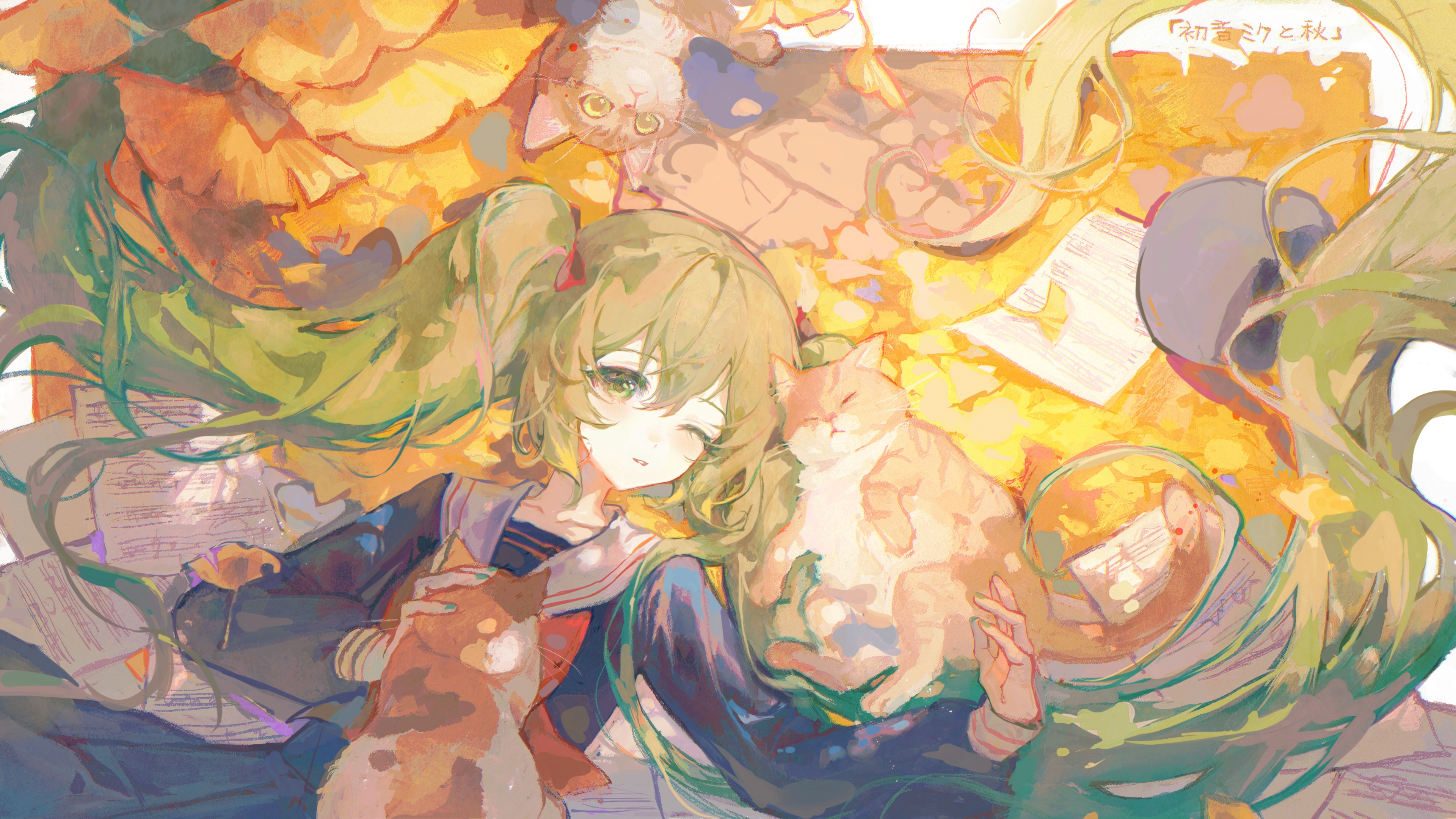 boxmoe_header_banner_img