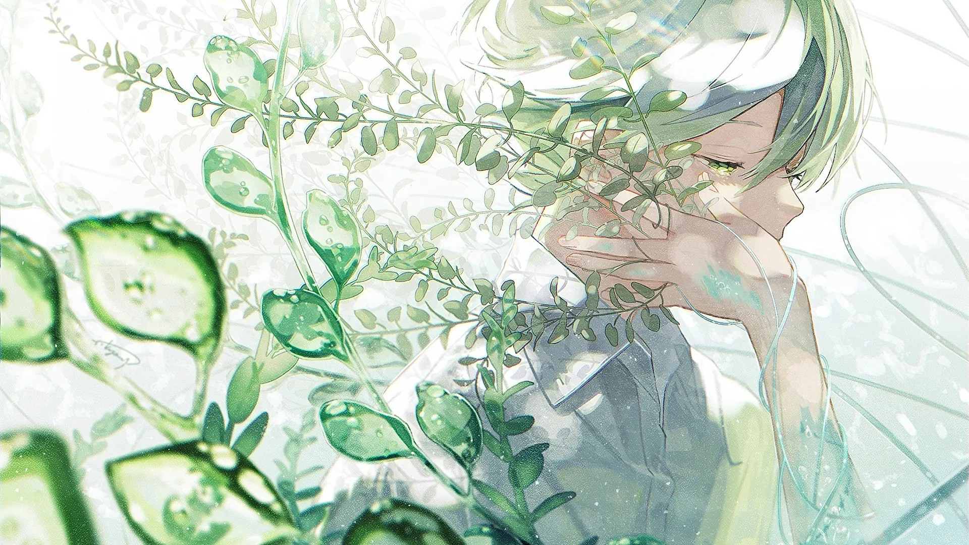 boxmoe_header_banner_img